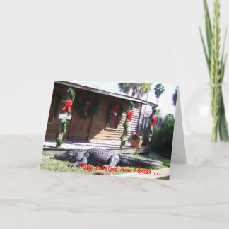 Cartes Pour Fêtes Annuelles Noël en Floride