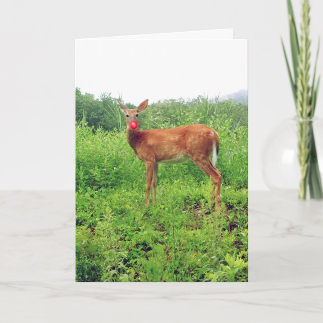 Cartes Pour Fêtes Annuelles Noël en juillet (Devant)