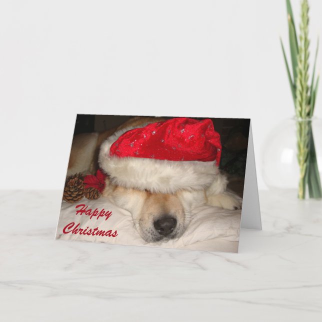 Cartes Pour Fêtes Annuelles Noël endormi d'akita de chien de père Noël de (Devant)