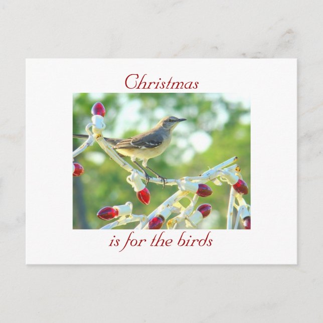 Cartes Pour Fêtes Annuelles Noël est pour les oiseaux (Devant)