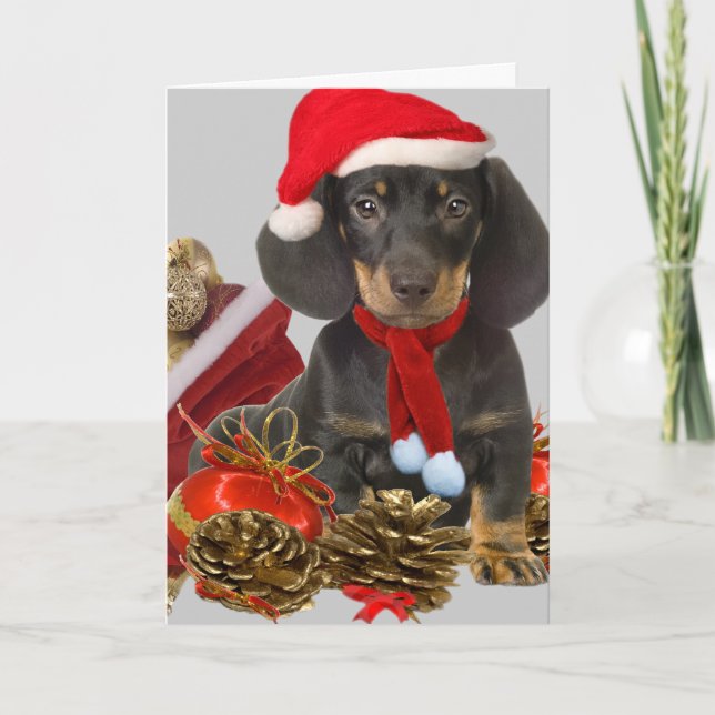 Cartes Pour Fêtes Annuelles Noël et ornements de Dachshund (Devant)