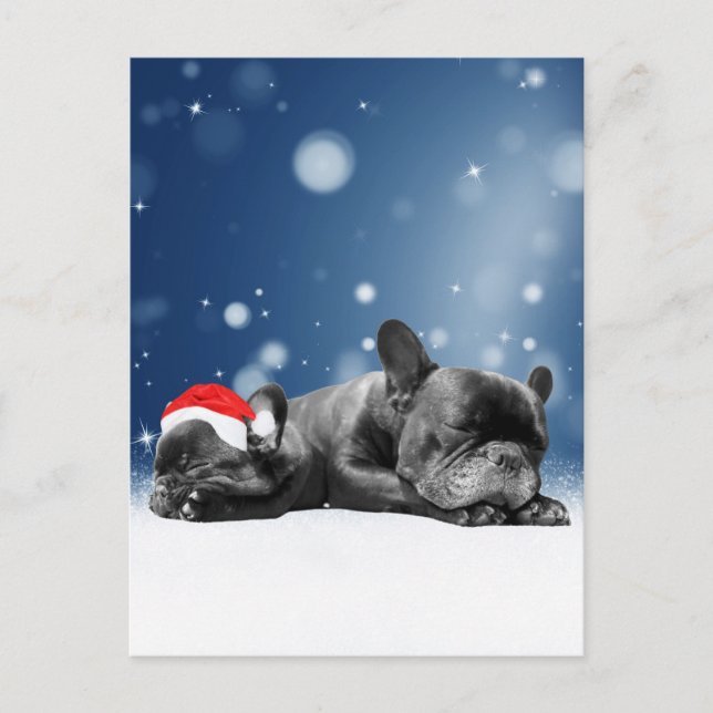Cartes Pour Fêtes Annuelles Noël Français Chien de taule Chien Chien de Chien  (Devant)