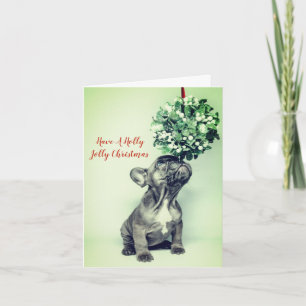 Cartes Pour Fêtes Annuelles Noël French Bulldog Holly Jolly