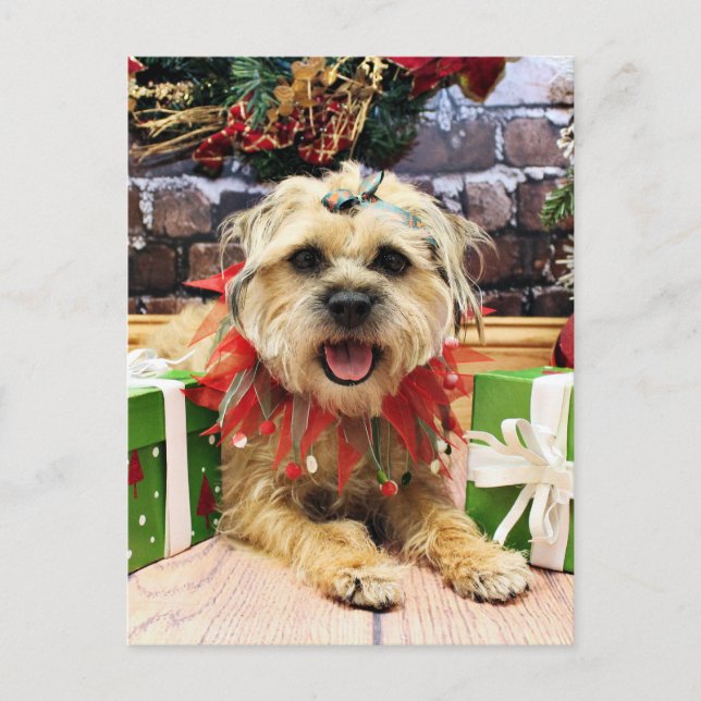 Cartes Pour Fêtes Annuelles Noël - Frontière Terrier - Reagan (Devant)