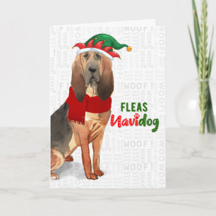 Cartes Pour Fêtes Annuelles Noël Funny Bloodhound Fleas NaviDOG