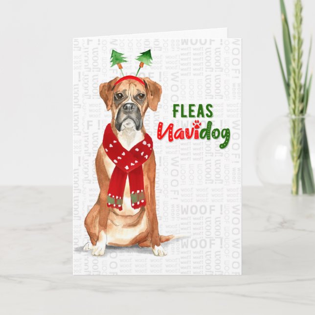 Cartes Pour Fêtes Annuelles Noël Funny Boxer Chien Fleas NaviDOG (Devant)