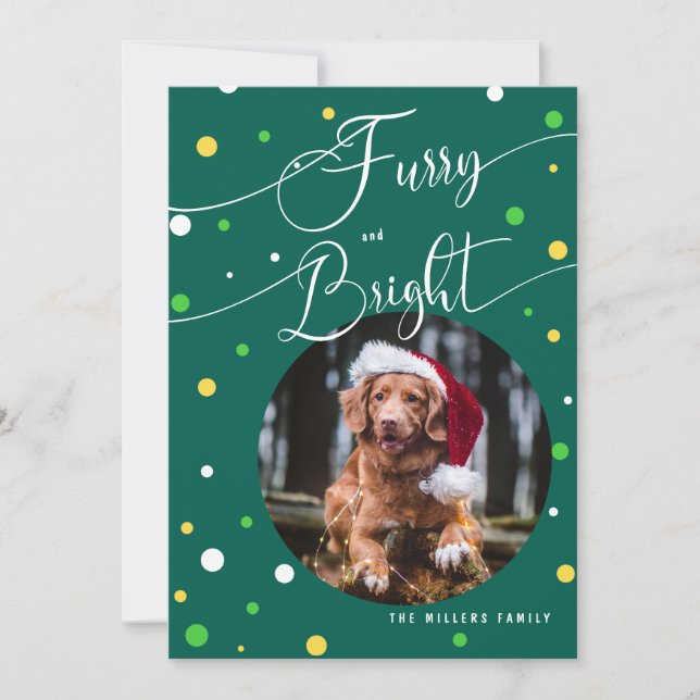 Cartes Pour Fêtes Annuelles Noël Funny Furry et Bright Pet annuel2 Photo (Devant)