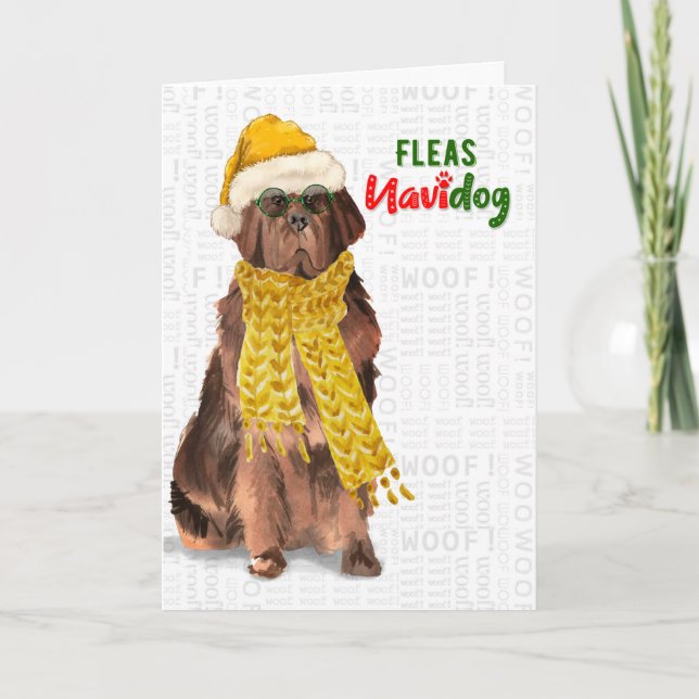 Cartes Pour Fêtes Annuelles Noël Funny Terre-Neuve Fleas NaviDOG (Devant)
