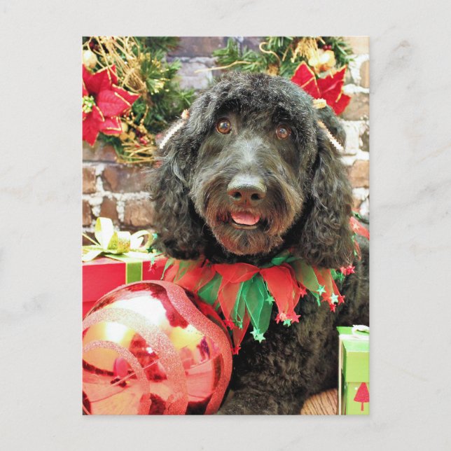 Cartes Pour Fêtes Annuelles Noël - Golden Doodle - Perle Jam (Devant)