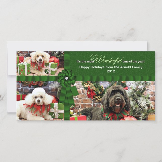 Cartes Pour Fêtes Annuelles Noël - Golden Doodle Poodle Cockapoo - Arnold (Devant)