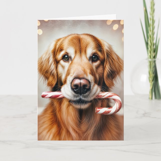 Cartes Pour Fêtes Annuelles Noël Golden Retriever avec un Sucre de canne (Devant)