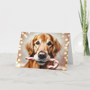 Cartes Pour Fêtes Annuelles Noël Golden Retriever avec un Sucre de canne