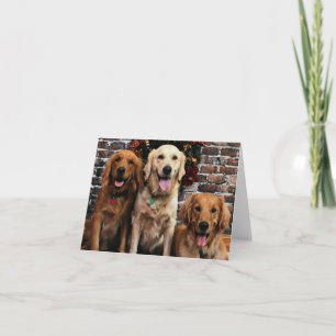 Cartes Pour Fêtes Annuelles Noël - golden retriever - emballeur Bella Darby