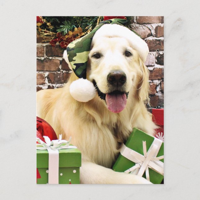 Cartes Pour Fêtes Annuelles Noël - Golden Retriever - Hudson (Devant)