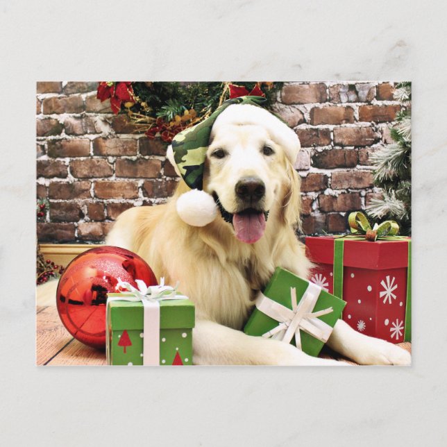 Cartes Pour Fêtes Annuelles Noël - Golden Retriever - Hudson (Devant)