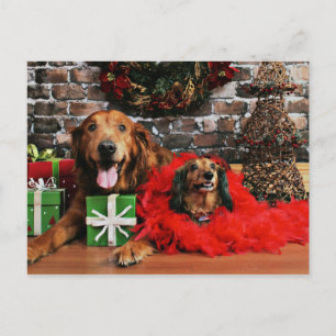 Cartes Pour Fêtes Annuelles Noël - Golden Retriever Max - Doxie - Chloe
