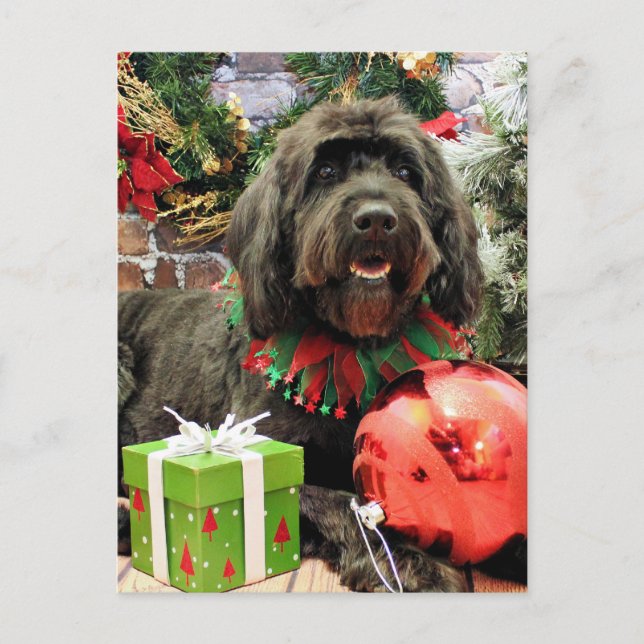 Cartes Pour Fêtes Annuelles Noël - GoldenDoodle - Néerlandais (Devant)