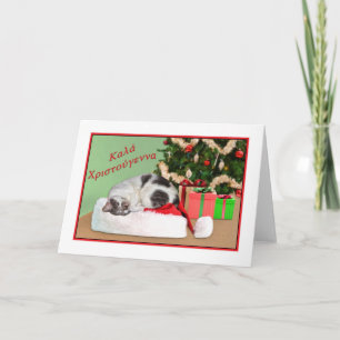 Cartes Pour Fêtes Annuelles Noël, Grec, Chat couché à Santa Hat