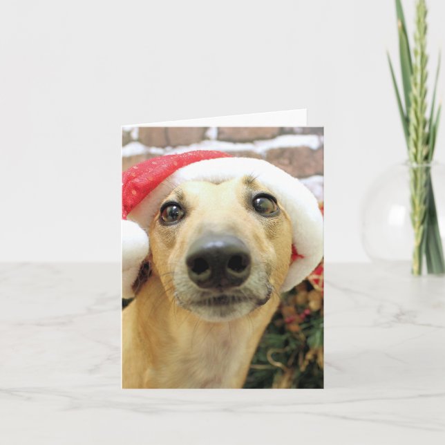 Cartes Pour Fêtes Annuelles Noël - Greyhound - Pena (Devant)