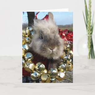 Cartes Pour Fêtes Annuelles Noël Gris Lionhead Bunny