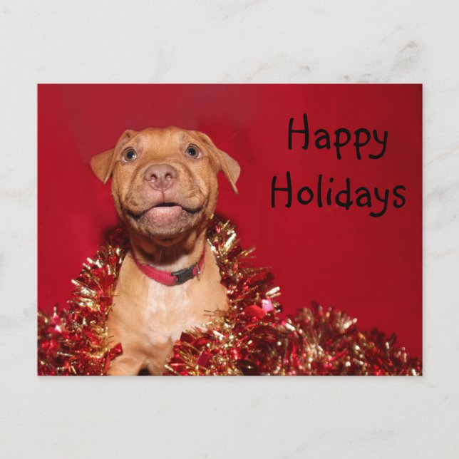 Cartes Pour Fêtes Annuelles Noël heureux de chiot de pitbull (Devant)
