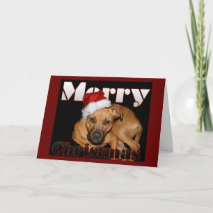 Cartes Pour Fêtes Annuelles Noël heureux de Staffy