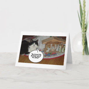 Cartes Pour Fêtes Annuelles Noël Humour de chat noir et blanc
