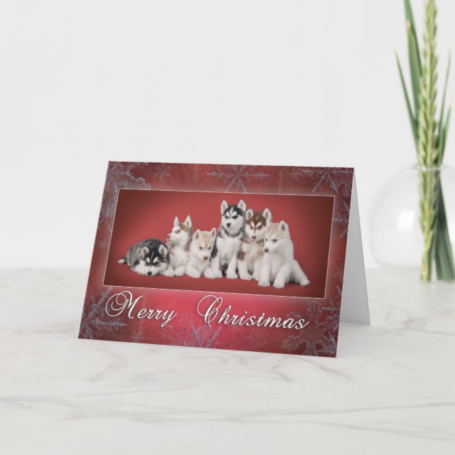 Cartes Pour Fêtes Annuelles Noël Husky (Devant)