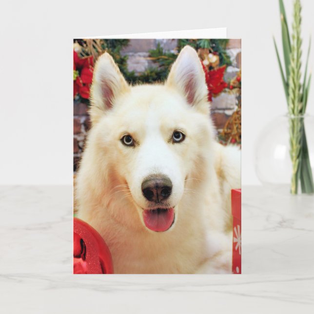 Cartes Pour Fêtes Annuelles Noël - Husky Sibérien - Portraits de Teagarden (Devant)