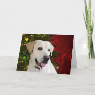 Cartes Pour Fêtes Annuelles Noël jaune de labrador retriever