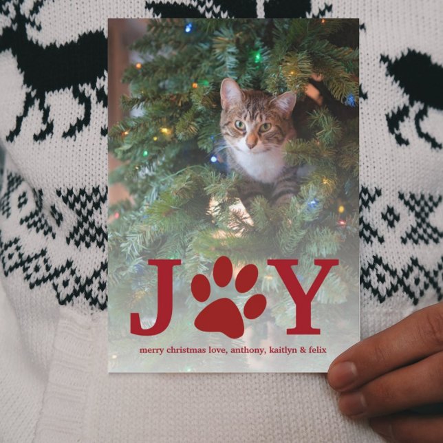 Cartes Pour Fêtes Annuelles Noël Joie | Photo de vacances pour animaux (Créateur téléchargé)