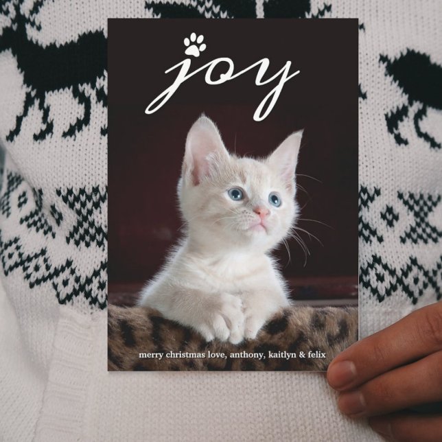 Cartes Pour Fêtes Annuelles Noël Joie | Photo de vacances pour animaux (Créateur téléchargé)