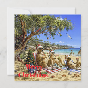 Cartes Pour Fêtes Annuelles Noël Kangourou Plage Pique-Nique Joyeux Noël