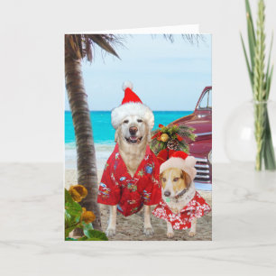 Cartes Pour Fêtes Annuelles Noël laboratoire/de Hawaïen/surfer drôles de chien