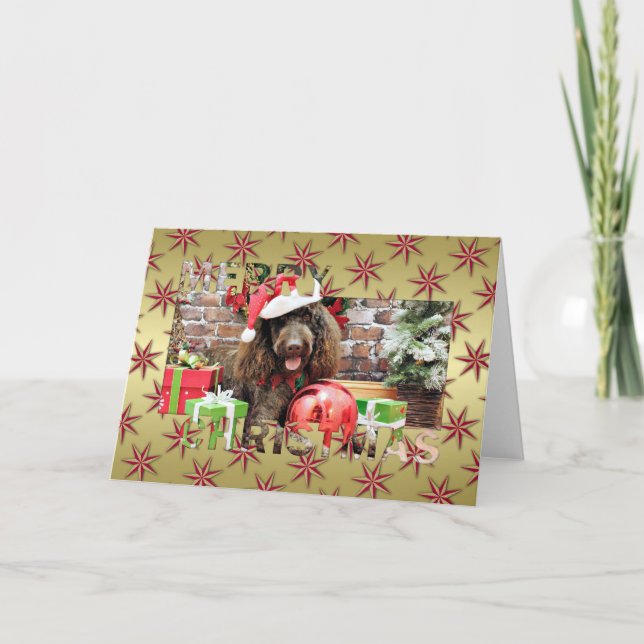 Cartes Pour Fêtes Annuelles Noël - LabraDoodle - Harley (Devant)