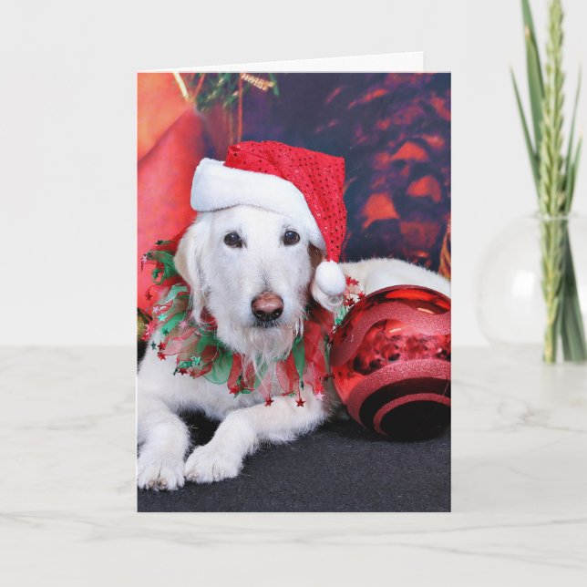 Cartes Pour Fêtes Annuelles Noël - LabraDoodle - Izzy (Devant)