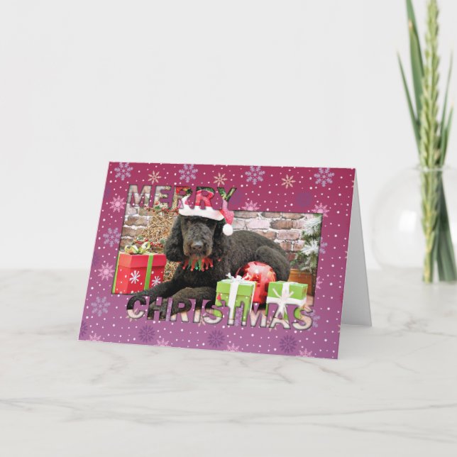 Cartes Pour Fêtes Annuelles Noël - LabraDoodle - Miller (Devant)