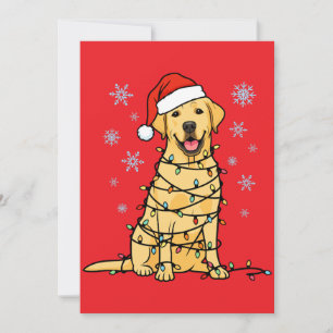 Cartes Pour Fêtes Annuelles Noël Labrador