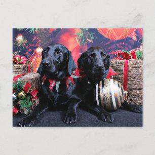 Cartes Pour Fêtes Annuelles Noël - Labrador - Banjo et Boomer