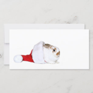 Cartes Pour Fêtes Annuelles Noël lapin