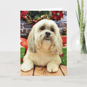 Cartes Pour Fêtes Annuelles Noël - Lhassa Apso - Solo