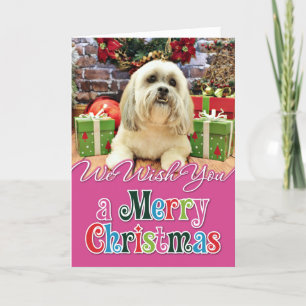 Cartes Pour Fêtes Annuelles Noël - Lhassa Apso - Solo