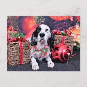 Cartes Pour Fêtes Annuelles Noël - Louellen Setter - Veruka