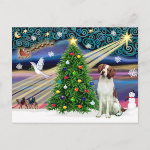 Cartes Pour Fêtes Annuelles Noël Magie Bretagne Espagne