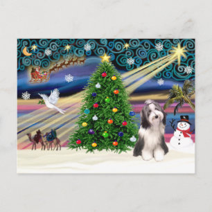 Cartes Pour Fêtes Annuelles Noël Magie Portée Collie 4