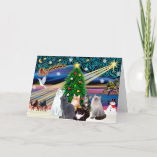 Cartes Pour Fêtes Annuelles Noël Magique - Six chats (variété)