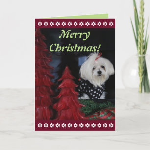 Cartes Pour Fêtes Annuelles Noël maltais