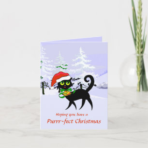 Cartes Pour Fêtes Annuelles Noël marrant Amoureux des chats
