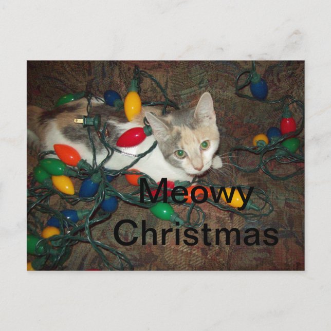Cartes Pour Fêtes Annuelles Noël Meowy (Devant)
