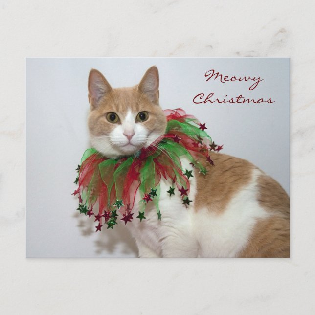 Cartes Pour Fêtes Annuelles Noël Meowy (Devant)